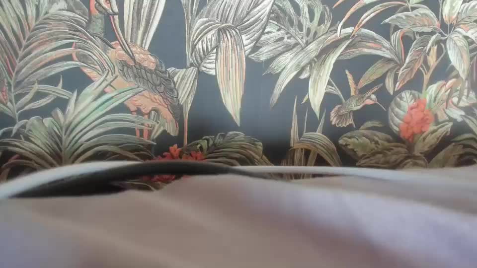 dyafirst Adult Chat August 2, 2025