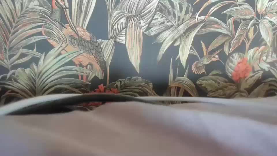 dyafirst Adult Chat August 2, 2025