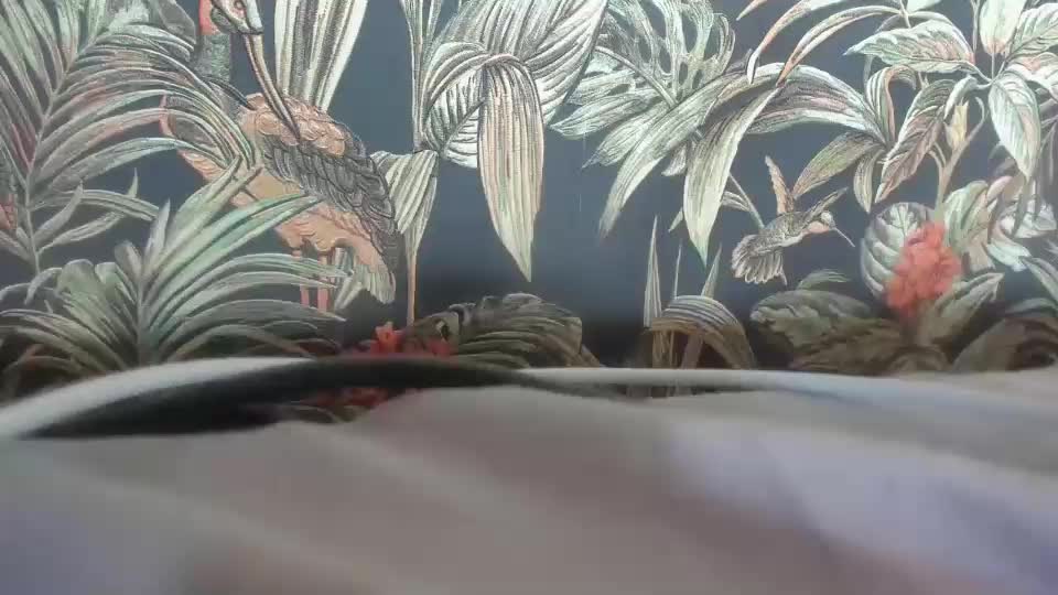 dyafirst Adult Chat August 2, 2025