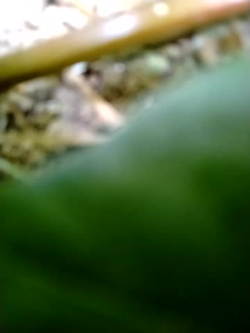 _KissMyAss_ Adult Chat August 1, 2025