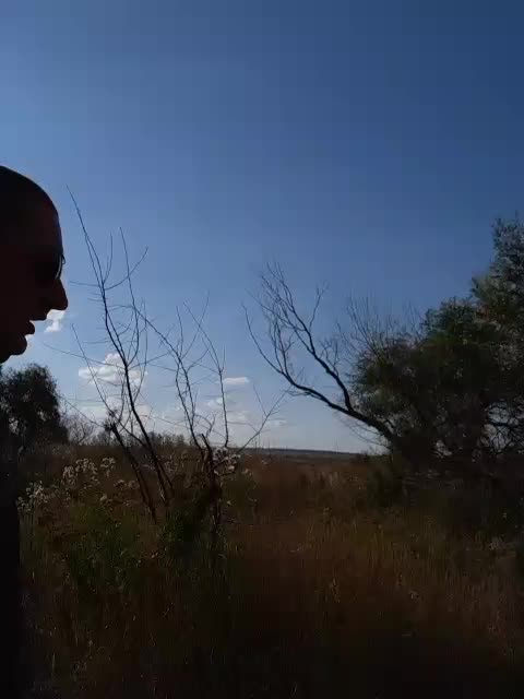 Natalochka Adult Chat August 2, 2025