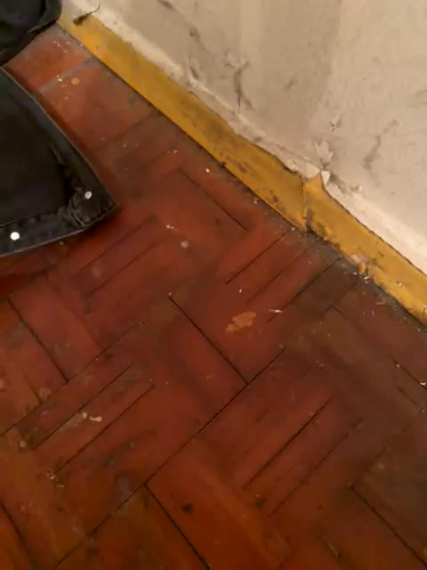 Loftpon69 Adult Chat August 2, 2025