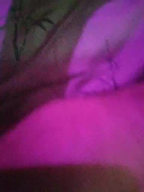 Sexualpara2024 Adult Chat August 2, 2025