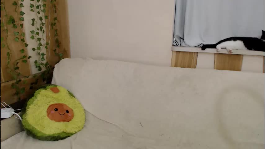 leo_and_lori Adult Chat August 2, 2025