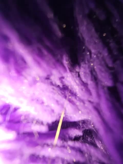 mypara69 Adult Chat August 2, 2025