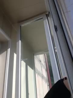 Zlykaa Adult Chat August 2, 2025