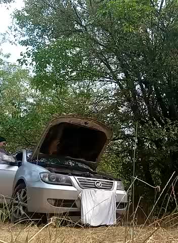 Greta_Tamar Adult Chat August 2, 2025