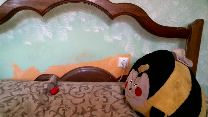 DennisXCaroll Adult Chat August 3, 2025