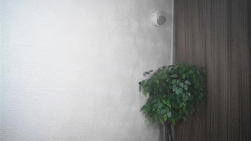 GlindaZerko Adult Chat August 3, 2025