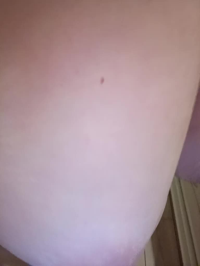 RosFair Adult Chat August 3, 2025