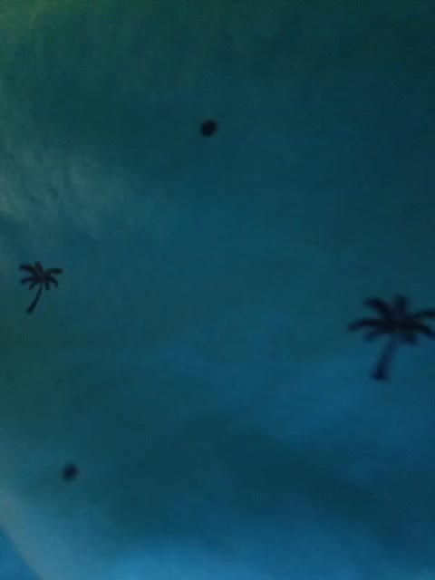 KoshkaKroshka Adult Chat August 3, 2025