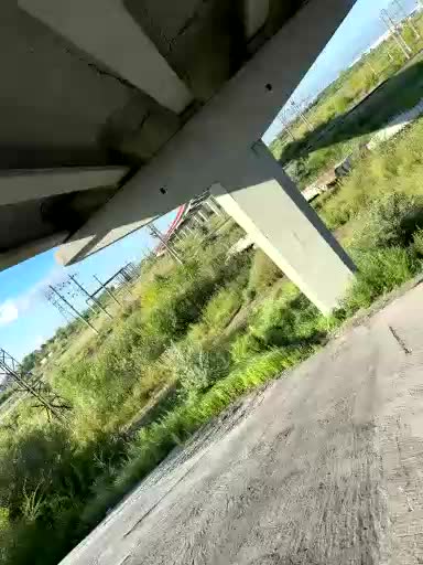 Loftpon69 Adult Chat August 3, 2025