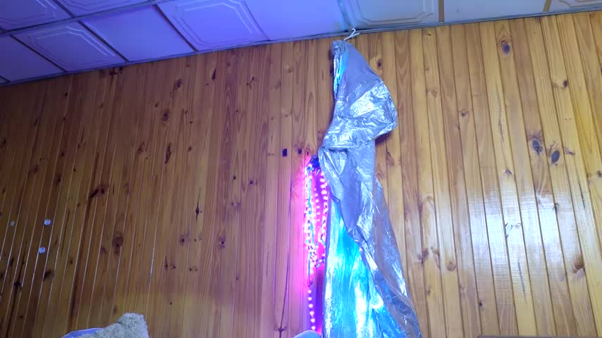 Jony_Marta Adult Chat August 3, 2025