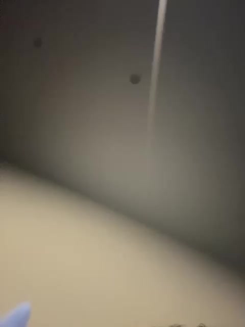 VULGARITY Adult Chat August 3, 2025