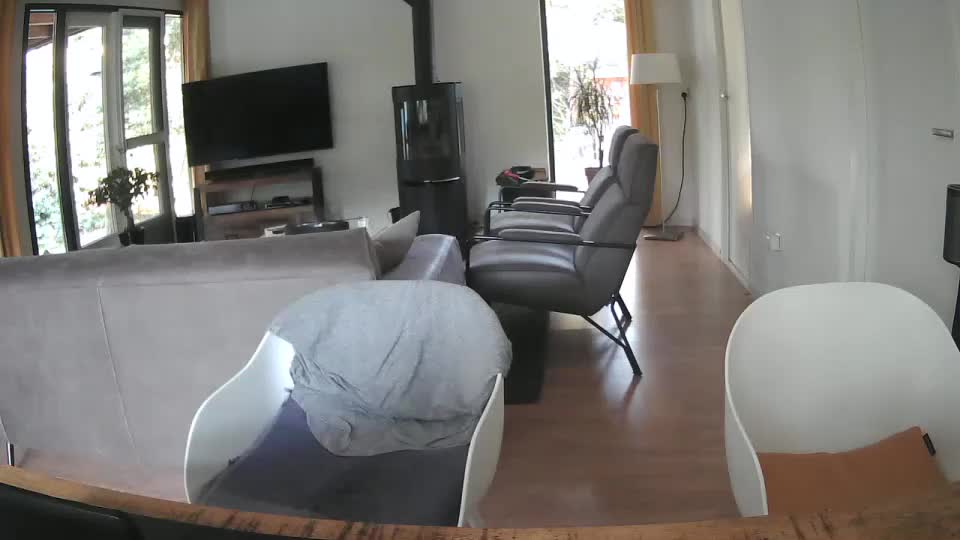 woodwurm Adult Chat August 3, 2025