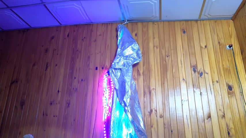 Jony_Marta Adult Chat August 3, 2025