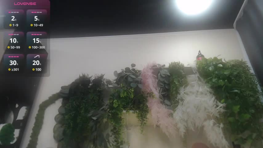 scyrim2 Adult Chat August 4, 2025