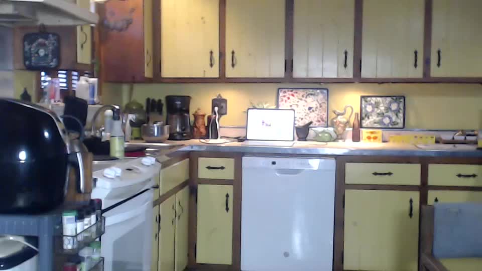 catalystic Adult Chat August 4, 2025