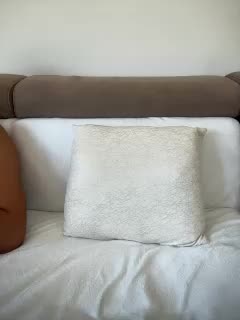 OhHoney Adult Chat August 4, 2025