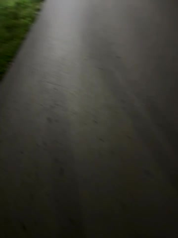 Oksiandfray Adult Chat August 4, 2025