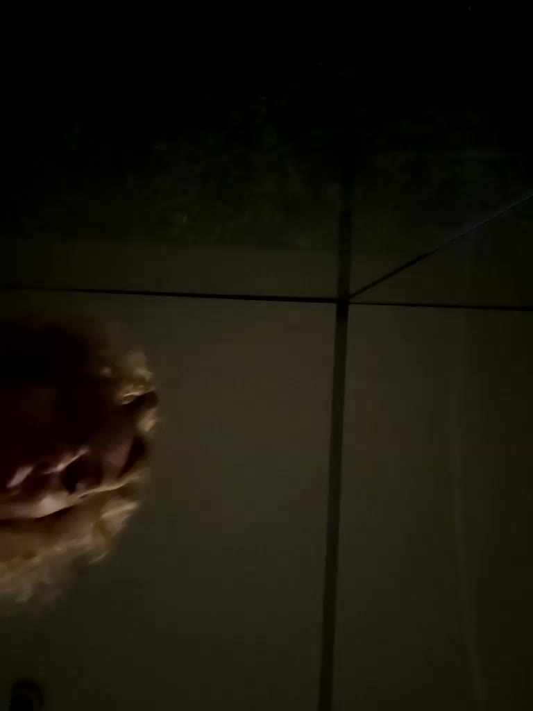 Shaurma- Adult Chat August 4, 2025