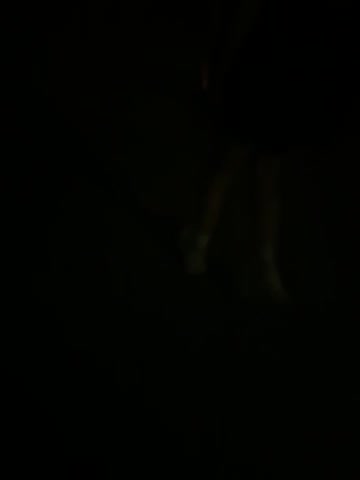 Oksiandfray Adult Chat August 4, 2025