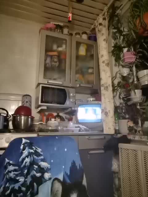 catsloveqq Adult Chat August 4, 2025