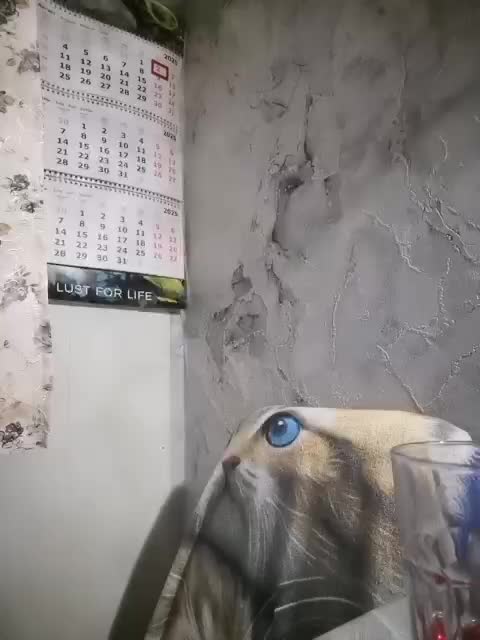 catsloveqq Adult Chat August 4, 2025