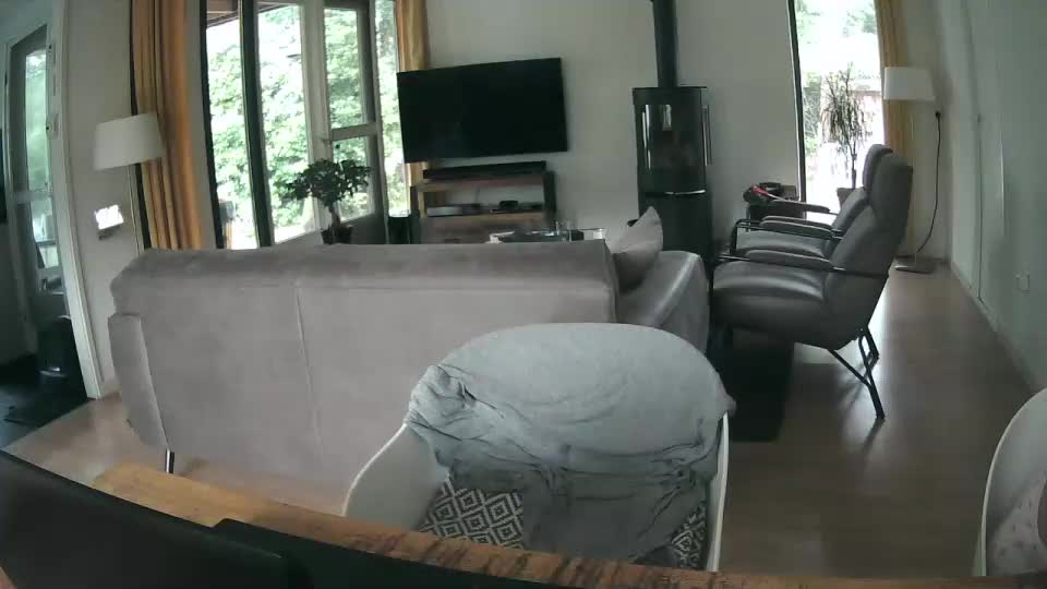 woodwurm Adult Chat August 4, 2025