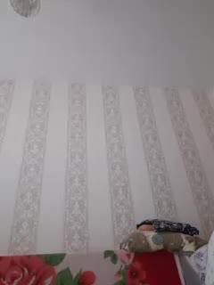 Zlykaa Adult Chat August 4, 2025