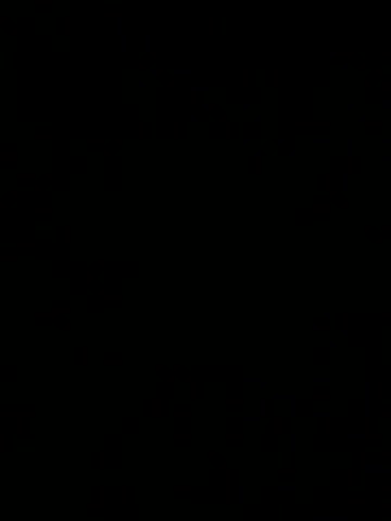 Kimi_Ass Adult Chat August 4, 2025