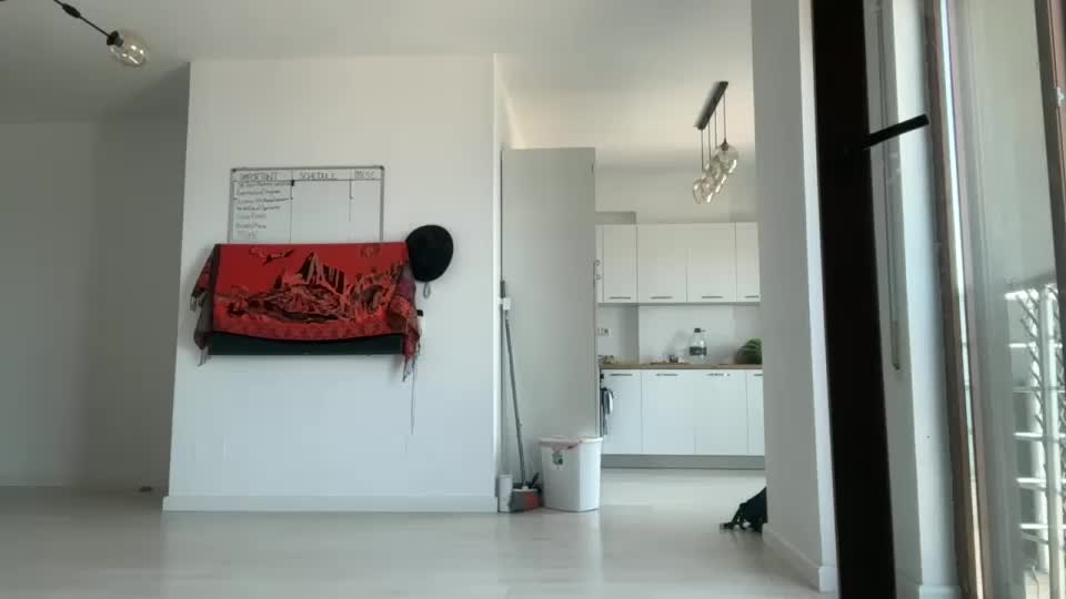 drresa Adult Chat August 4, 2025