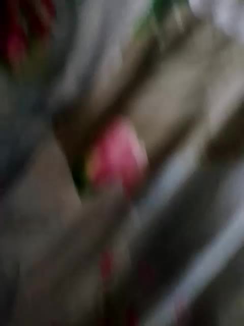 Fuffocka Adult Chat August 4, 2025