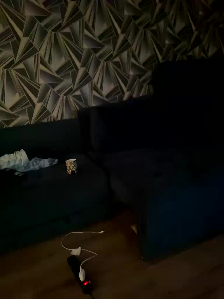 KrisDima2 Adult Chat August 4, 2025