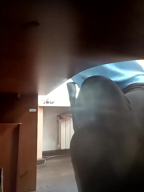 GolayaPravda Adult Chat August 5, 2025