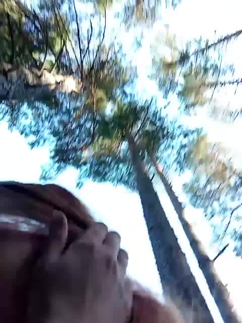 StacyGemstone Adult Chat August 5, 2025