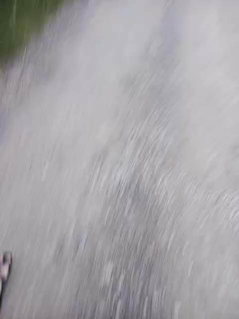 Zhozhoba69 Adult Chat August 5, 2025