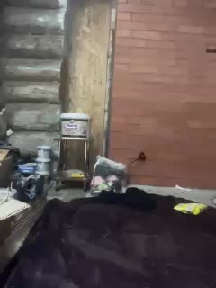 Panther_0888 Adult Chat August 5, 2025