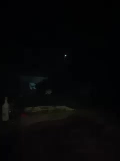 Panther_0888 Adult Chat August 5, 2025