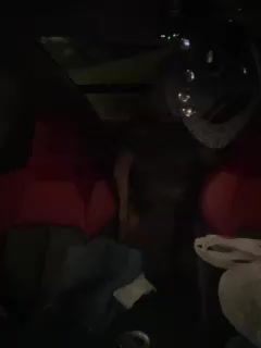 YuGoVi Adult Chat August 5, 2025