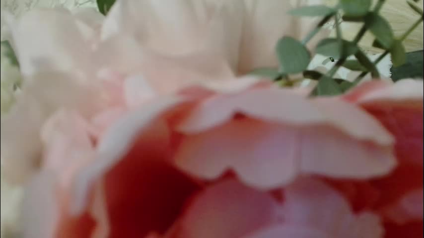 imcarrieberry Adult Chat August 5, 2025