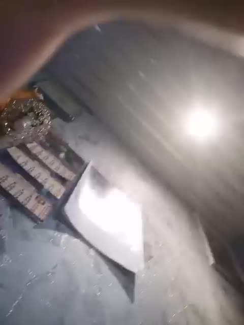 catsloveqq Adult Chat August 5, 2025