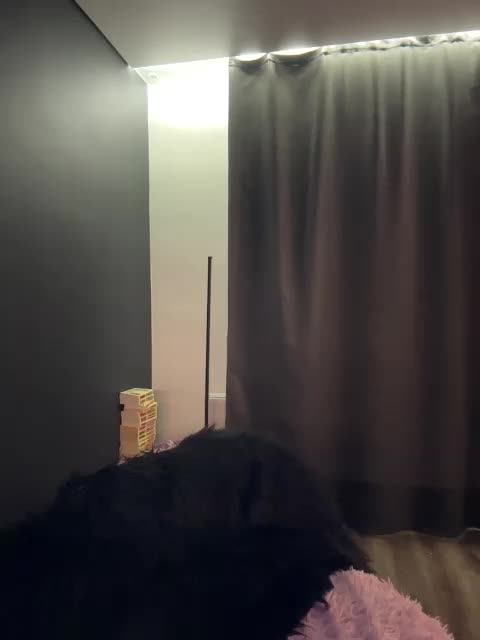 polyamur Adult Chat August 5, 2025