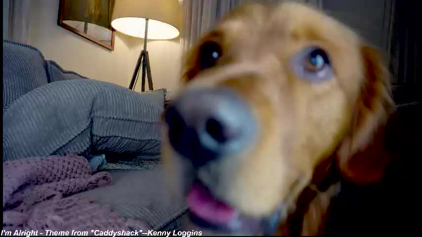 x_lily_x Adult Chat August 5, 2025