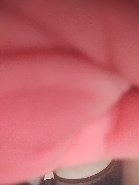 Dachahka Adult Chat August 5, 2025