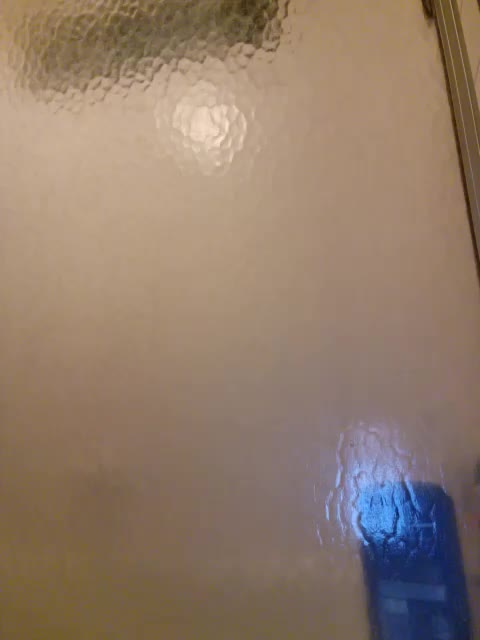 PrurientGem Adult Chat August 5, 2025