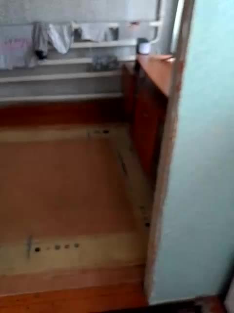 Para26 Adult Chat August 5, 2025