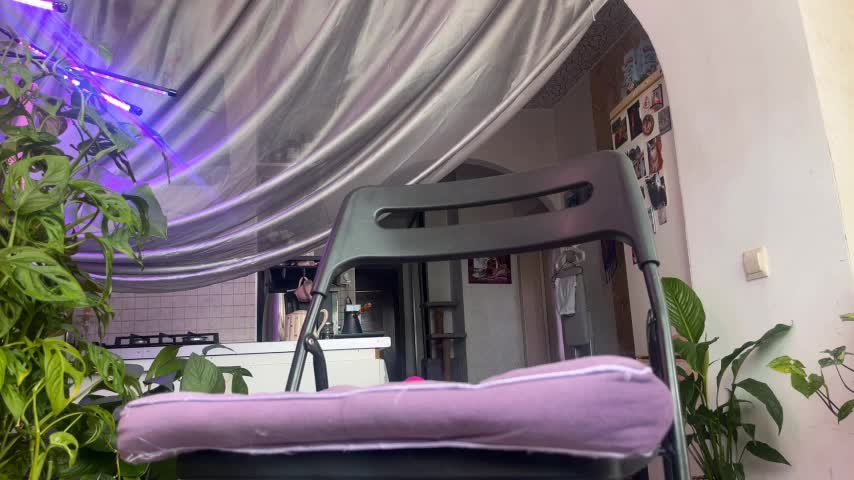 Sasha_moormeoow Adult Chat August 5, 2025