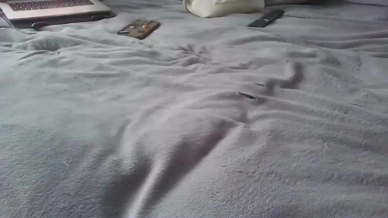 Foxy_Lady Adult Chat August 6, 2025