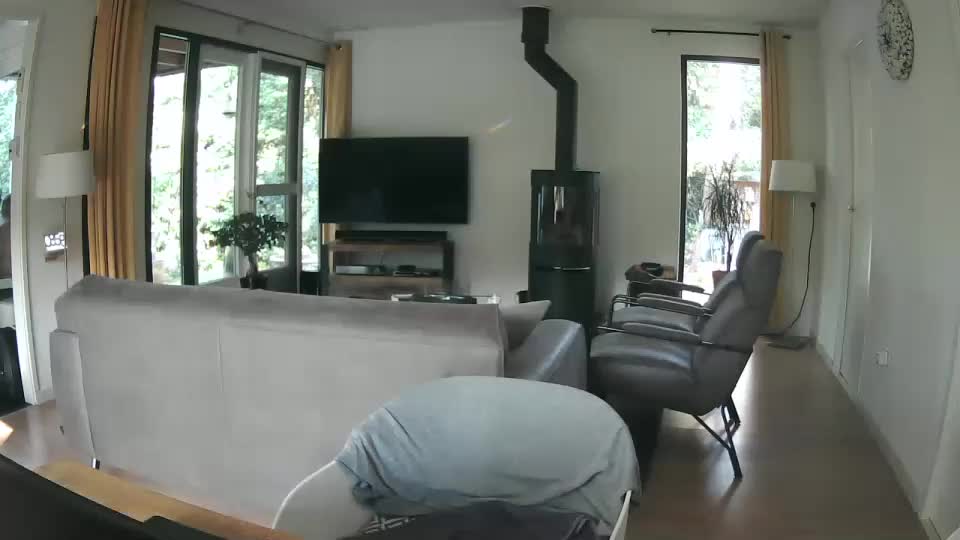 woodwurm Adult Chat August 6, 2025